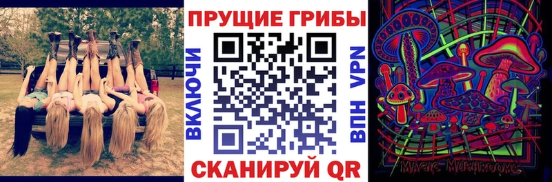 цены   Электрогорск  omg как войти  Псилоцибиновые грибы GOLDEN TEACHER 