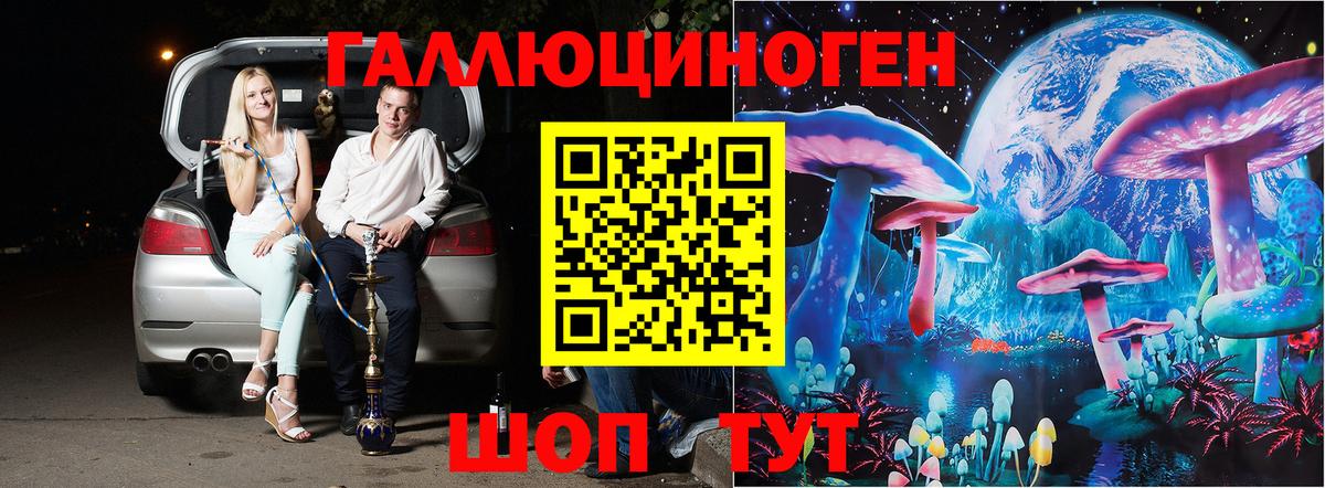 Электрогорск  что такое наркотик  Псилоцибиновые грибы GOLDEN TEACHER  Вход с VPN  Галлюциногенные грибы MAGIC MUSHROOMS 