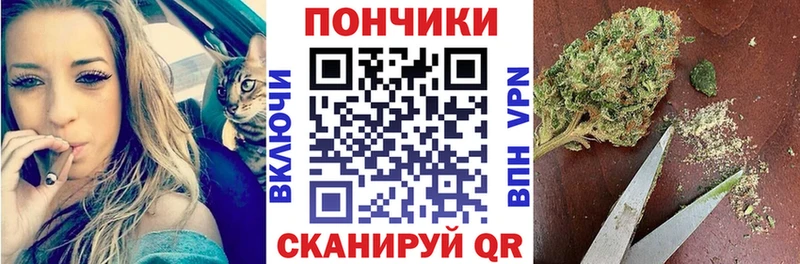 Конопля марихуана  где купить   Электрогорск 